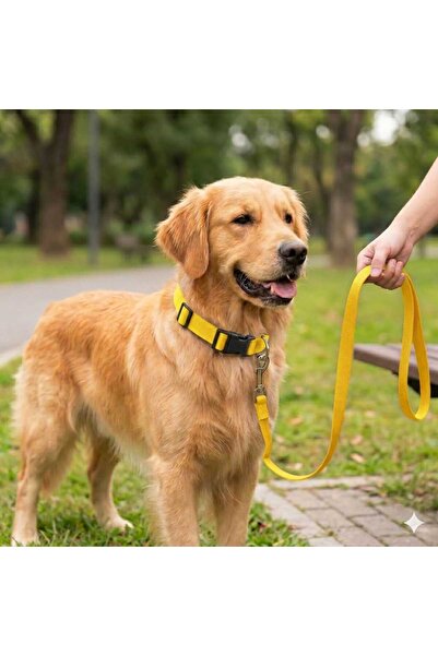 hebmeyy Köpek Tasma Gezdirme, Köpek Gezdirme Takımı, Mini Ve Orta Irk, Yavru ...