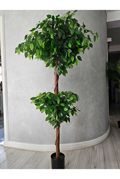 OEM Ficus 180cm