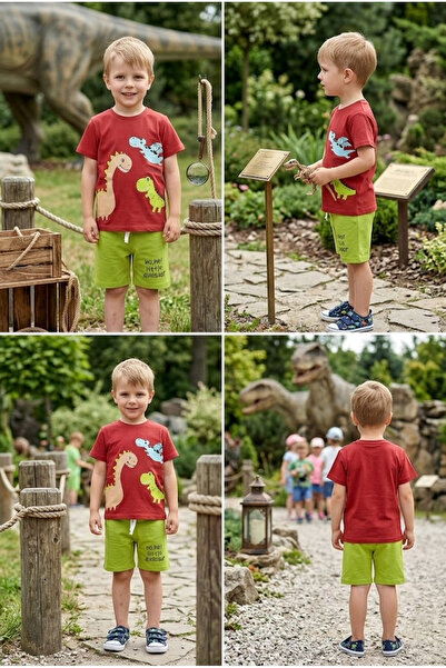 meyastore Boy's Shorts Suit Dinosaur Printed