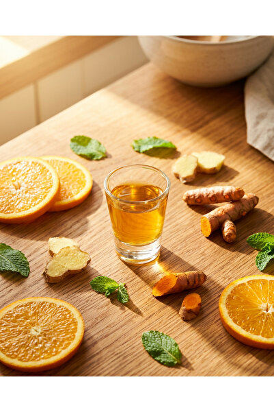 FiShake Ginger Shot & Ginsengli / Zencefil Shot 500 ml