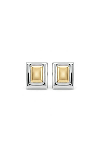 Charmist Steel Icon Earrings