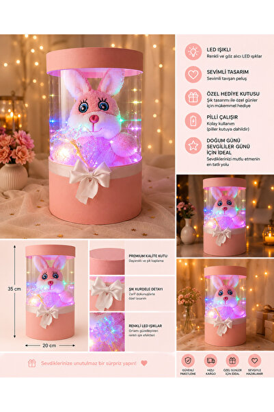 Floroon gift Led Işıklı Sonsuzluk Güllü ve Pembe Peluş Tavşan Hediye Kutusu |...
