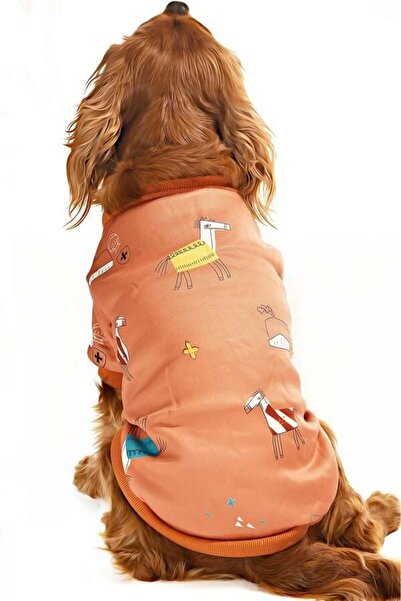 Petza Small and Medium Breed Dog Sweater - Matru