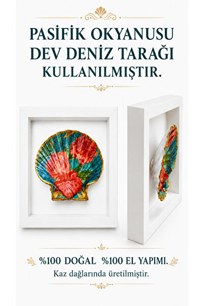 miceda art studio El Yapımı Deniz Kabuğu Tablo Çerçeveli Geleneksel Dekoratif...