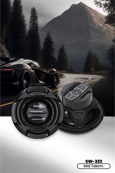GOLDMASTER SW-323 30 CM 1000W Subwoofer