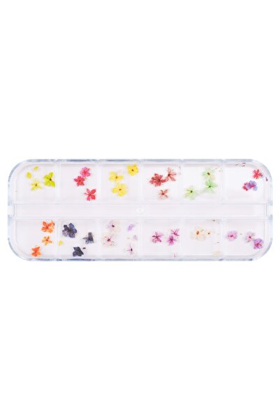 LUXORISE Flori uscate pentru unghii - Bloom Vibe, 12 modele