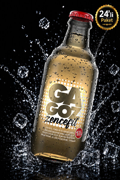 GA GOZ 250ML x 24'lü Paket - Gazoz Zencefil Aromalı Gazlı İçecek - Ginger Ale
