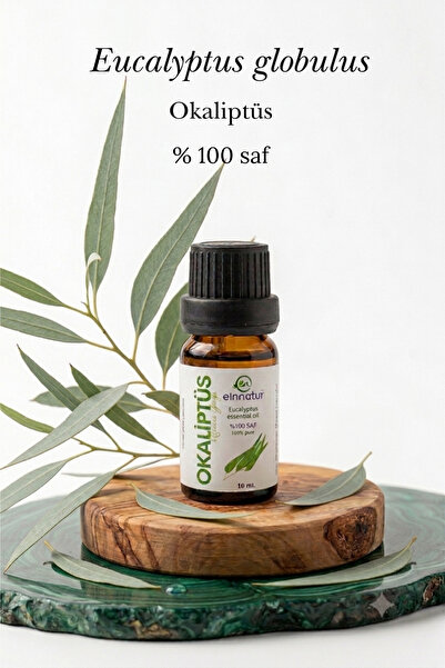 EinNatur Eucalyptus Essential Oil, 10 Ml, 100% Pure Eucalyptus Globulus Oil, ...