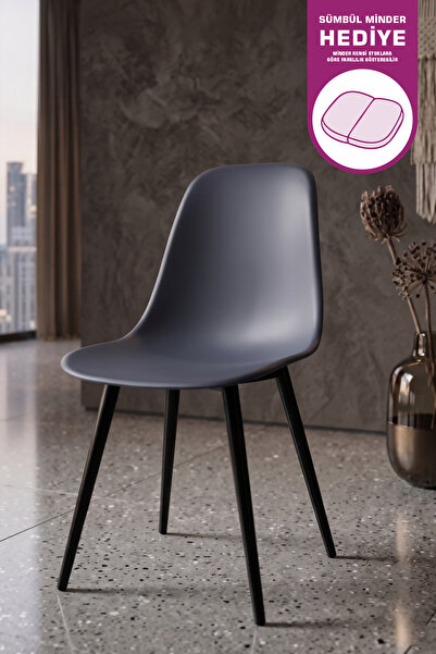 VİLİNZE Eames Siyah Ahşap Ayak Plastik Füme Sandalye