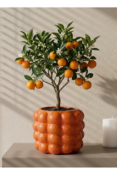 mora store Turuncu Bubble Beton Saksı Balon Desenli Dekoratif Modern İskandin...