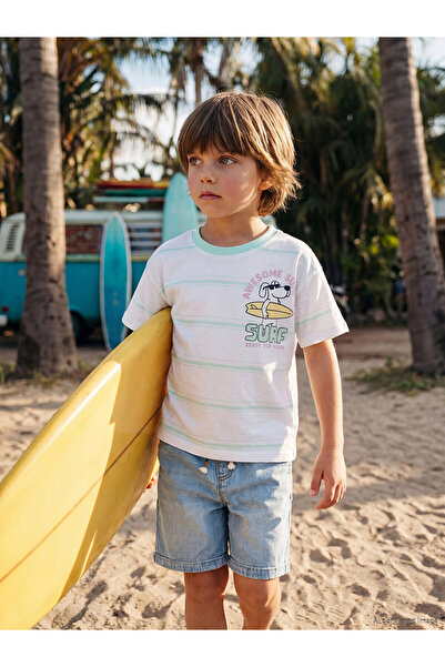 LC Waikiki Original Oval Collar Striped Printed Boys' T-Shirt