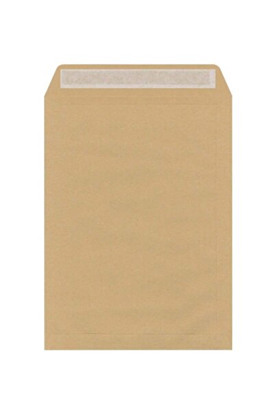 Erka Oyal Envelope Bag Natura 210X280 110 Gr Box of 500