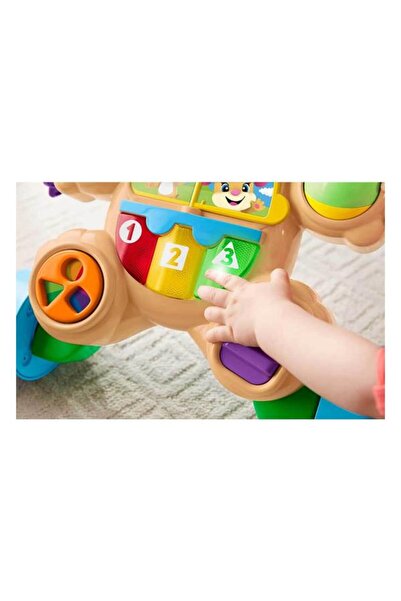 FISHER PRICE Eğitici Köpekçik Yürüteç FTG10