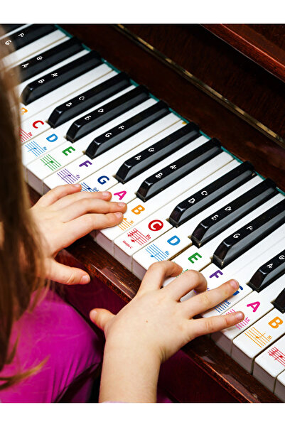 Choice YX-WJT-001-1-QQ 1 Set of Transparent Piano Keyboard Sticker 88/76/61/5...