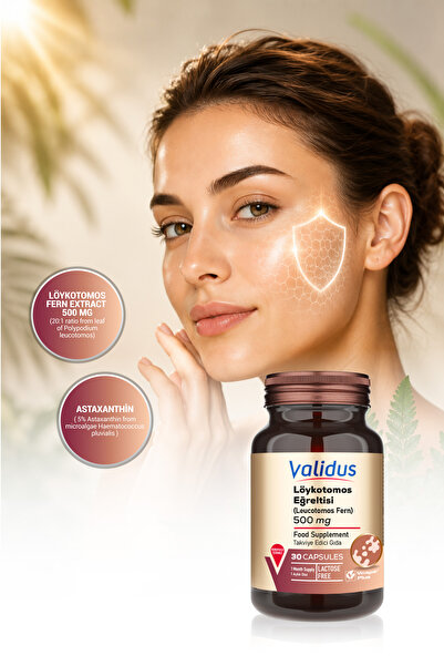 Validus Löykotomos Fern 500 mg - Astaksantin 20 mg 30 Capsules