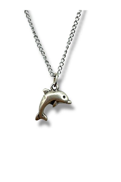 Herşey Nota Unisex Necklace with Dolphin Figure – Antique, Elegant and Meanin...