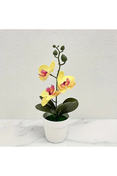Choice yellow Artificial Orchid, Home/Office Decoration - Display of Living R...