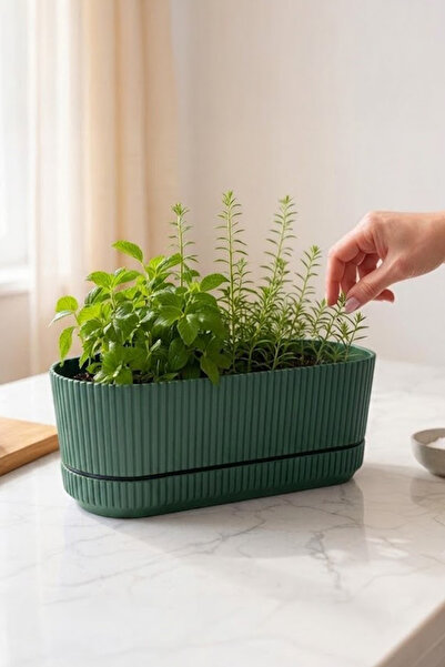 TEMMUZ HOME Pera 2 No Uzun Saksı Çiçek Sukulent Kaktüs Ve Bitki Saksısı. 3 Litre