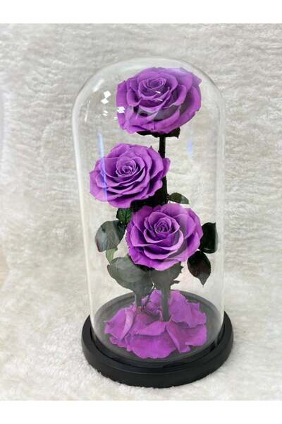 Generic Forever Rose Tall In Glass Dome – Purple (3 Heads) | Preserved Flower