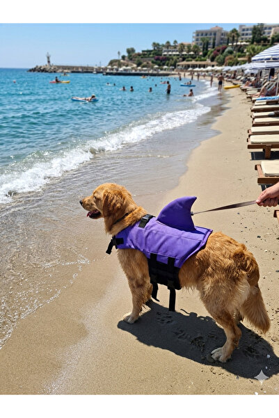 Pro Chem Köpek İçin Sırt Yüzgeçli Can Yeleği