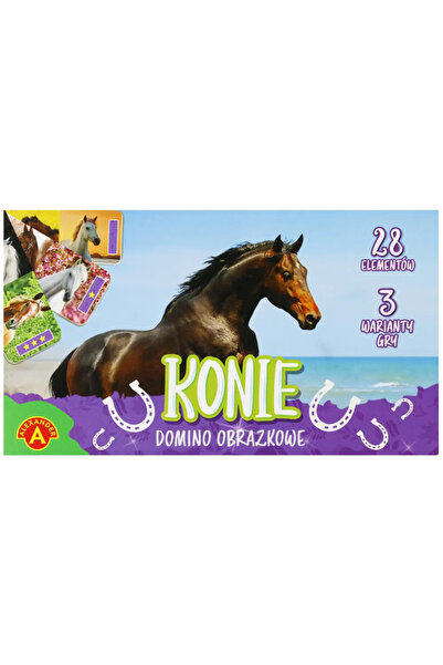 ALEXANDER Domino Imagini Cai 3 Variante de Joc GR0701