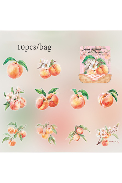 choice2 S23999-2 Mr. Paper10pcs/pack Strawberry PET Sticker Pack Fruit Sticke...