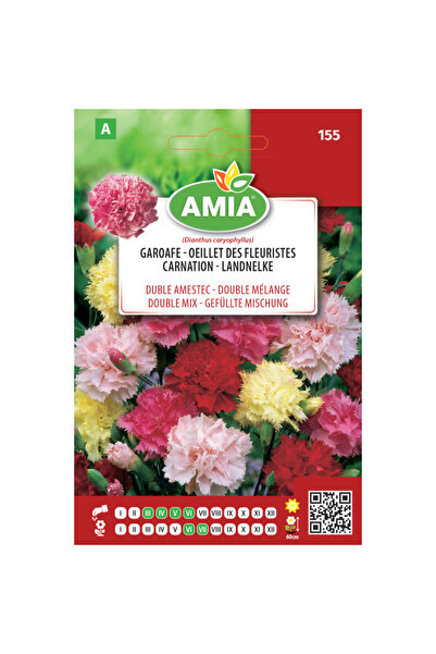 Amia Seminte de flori Garoafe duble amestec culori, 0,5 g