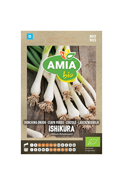 Amia Seminte bio de ceapa verde Blanc Ishikura, 1 g