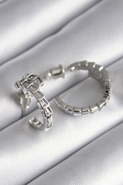 ETC Brass Silver Color Zircon Stone Snake Model Women's Earrings 5886 - Miyng...