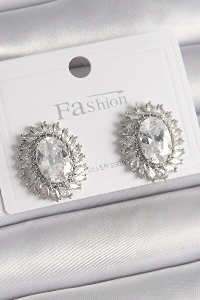 ETC Brass Silver Color Zircon Stone Women's Earrings 5886 - Miyng8748-8984
