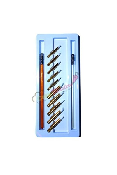 TORCH Set de 2 perii cu 10 capete de silicon interschimbabile