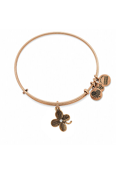 Alex and Ani Bratara Metal A09EB143RG