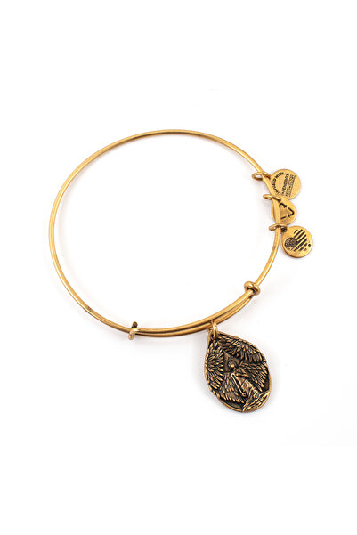 Alex and Ani Bratara Metal A14EB82RG