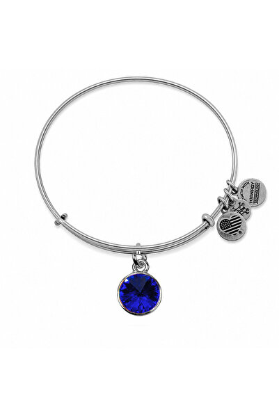 Alex and Ani Bratara Metal A12EB248RS