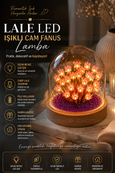 CNGZSHOP LALE LED Işıklı Cam Fanus Lamba Dekoratif Gece Lambası | Pilli Masa ...