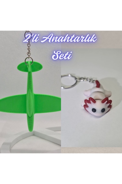 3DAtölyeMaker Green Airplane and Light Pink Flexible Axolotl Keychain