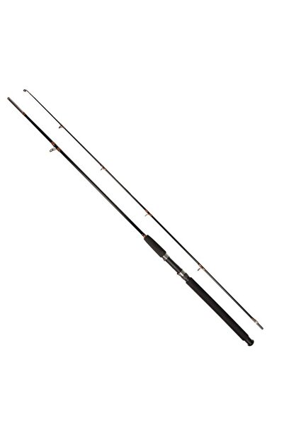 Dayko Lanseta fbra plina lungime/2.10m-100/250g putere aruncare