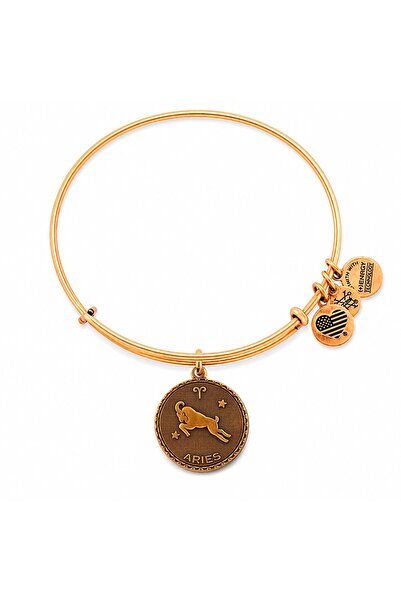 Alex and Ani ΓΥΝΑΙΚΕΙΟ ΒΡΑΧΙΟΛΙ A07EB40ARRG (19-25ΕΚ.)
