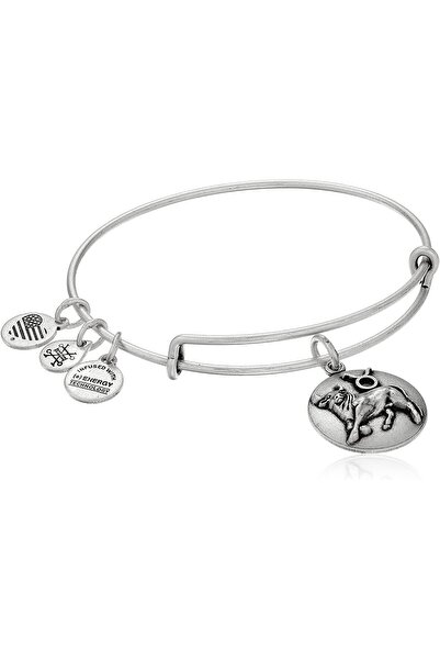 Alex and Ani ΓΥΝΑΙΚΕΙΟ ΒΡΑΧΙΟΛΙ A16EB59RS (17,5 εκ.)