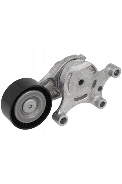 OEM Intinzator, curea transmisie INA 534 0075 20