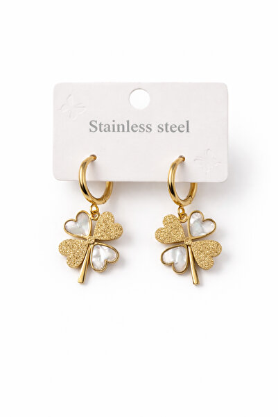 Bozhi Steel Earring 395 Silver Sparkling Style Gold