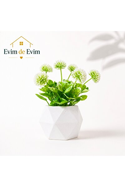 Evim de Evim Beyaz tomurcuk ve beton saksı
