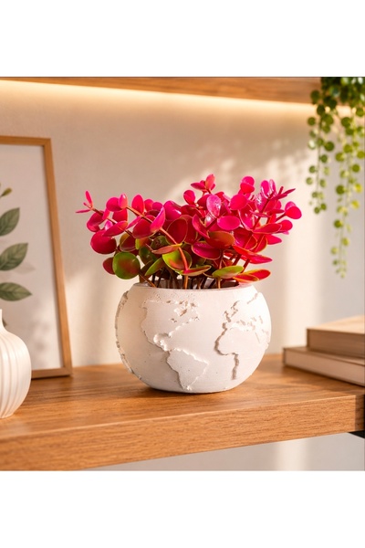 Evim de Evim Pembe yapraklı bitki ve beton dünya saksı