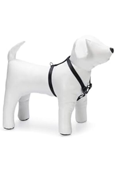 Yıldızan Terra Organik Basic Dog Collar, S, 35-50 Cm, Black Terra Organik 102...