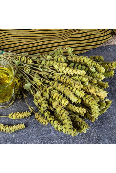 bitki diyarı Mediterranean Sage Anamur Bunch 1Pc