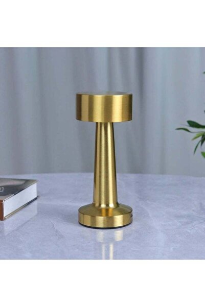 general brand LED Adjustable Table Lamp with Three Levels, Rechargeable, Touc...