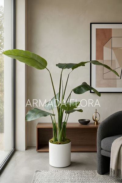 Armada Flora Yapay Starliçe Cennet Kuşu Ağacı Beyaz Metal Saksılı Büyük Boy