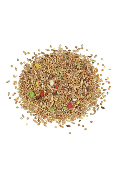 AngRav 2 kg Premium Budgie Seed Mix for Parakeets, Natural Daily Bird Food wi...