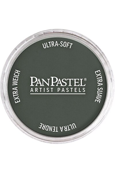 Panpastel Artist Pastel Paint 820.2 Neutral Gray Extra Dark 2