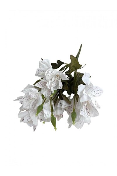 OEM Buchet Crin Peruan Alb
